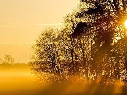 Das Wetter verspricht am Wochenende schön zu werden Das Wetter verspricht am Wochenende schön zu werden