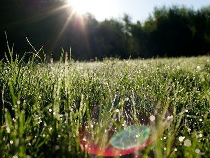 Die Wetter-Aussichten für das Wochenende sind vielversprechend Die Wetter-Aussichten für das Wochenende sind vielversprechend