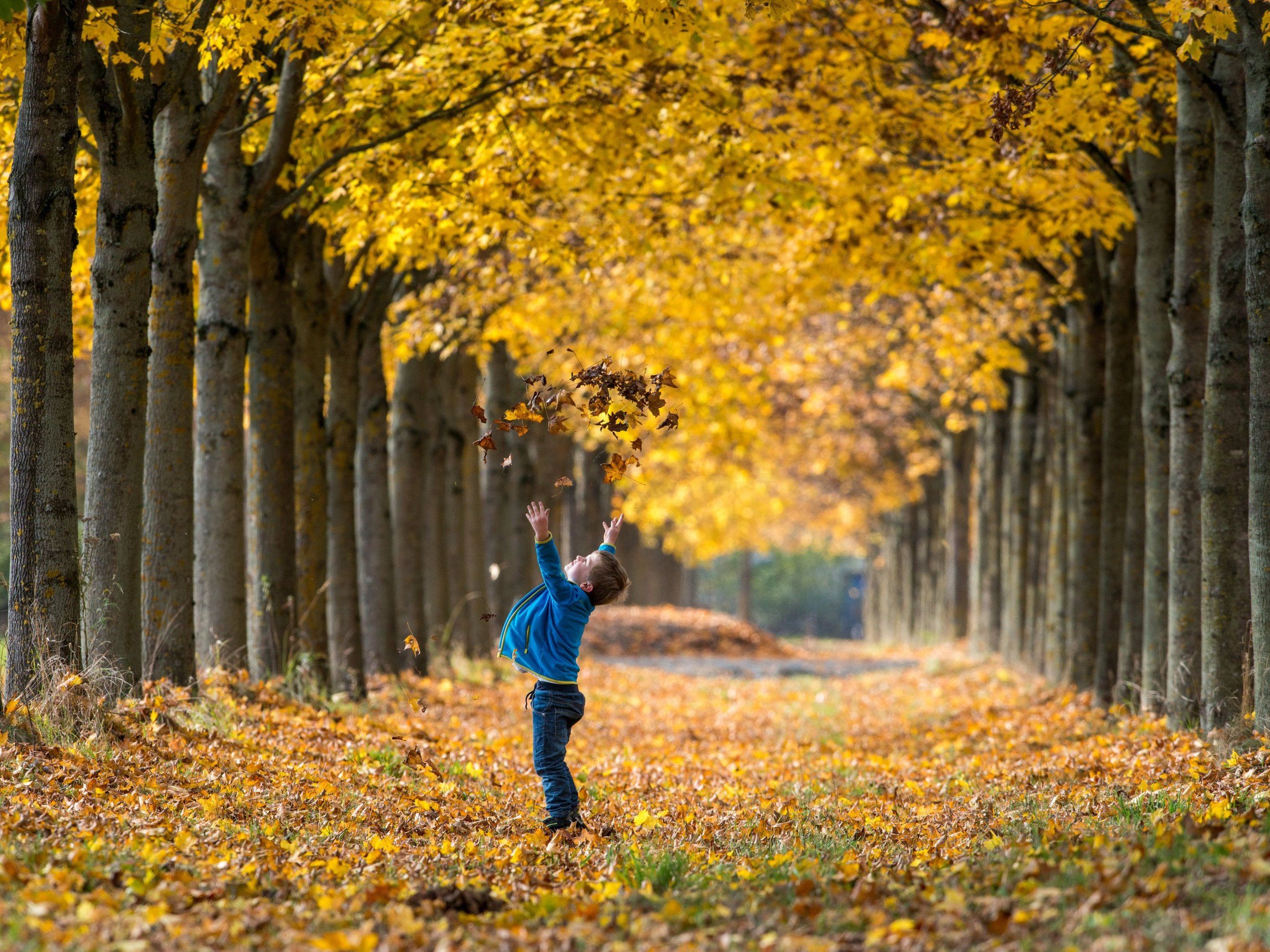 Herbstliche Frühlingsgefühle - Weiterhin äußerst mildes Wetter Herbstliche Frühlingsgefühle - Weiterhin äußerst mildes Wetter