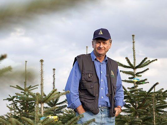 Stolz auf seine Bäume: Franz Raith (Sprecher Österreichische Christbaumbauern) Stolz auf seine Bäume: Franz Raith (Sprecher Österreichische Christbaumbauern)