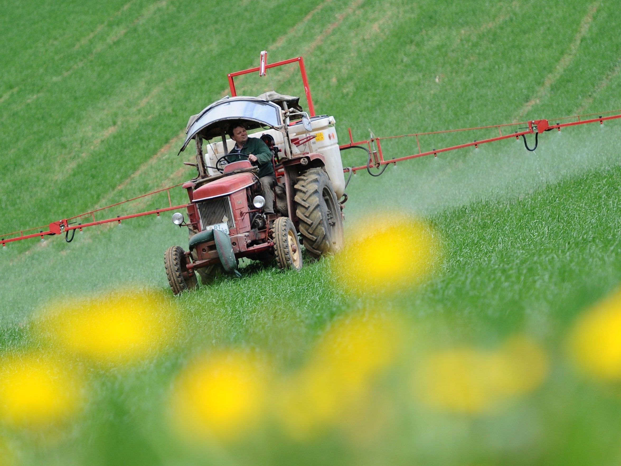 Glyphosat: Wissenschaftler kritisieren Bewertung von EU-Behörde scharf. Glyphosat: Wissenschaftler kritisieren Bewertung von EU-Behörde scharf.