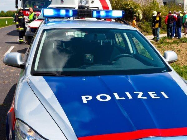 Die Polizei hat Donnerstagnachmittag einen Lkw-Raser im Burgenland erwischt.