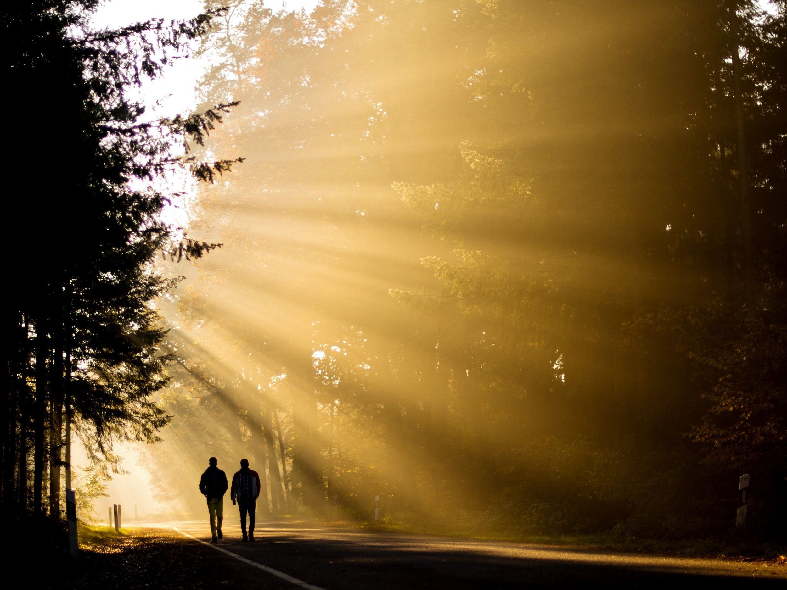 Nebel und viel Sonnenschein: So wird das Wetter an den Weihnachtsfeiertagen. Nebel und viel Sonnenschein: So wird das Wetter an den Weihnachtsfeiertagen.
