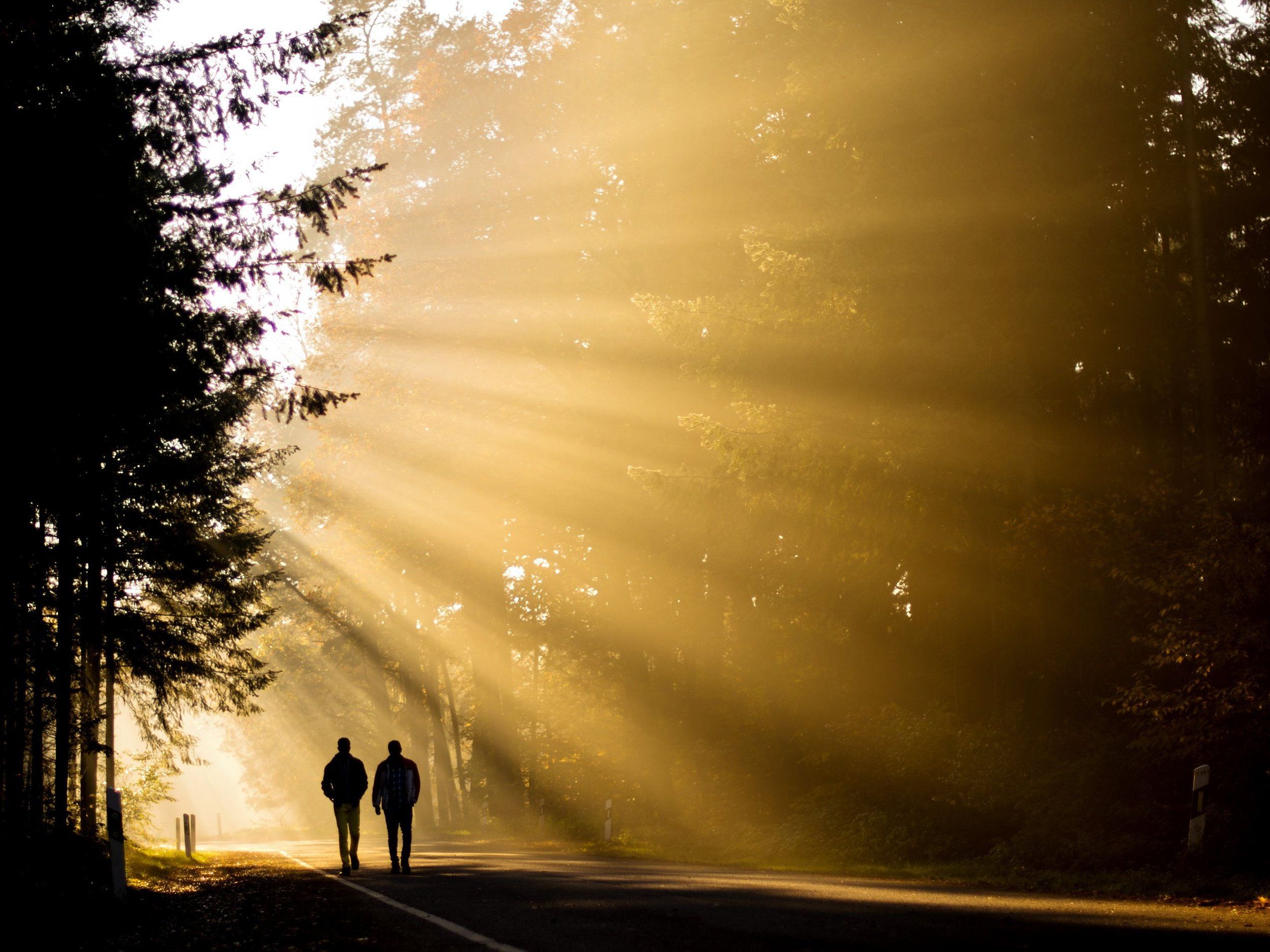 Nebel und viel Sonnenschein: So wird das Wetter an den Weihnachtsfeiertagen.