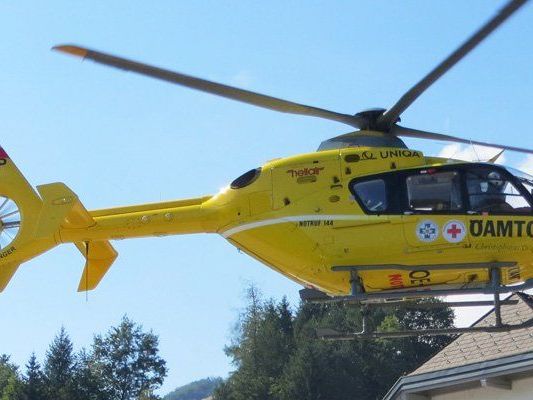 Die Lenkerin wurde schwer verletzt ins Spital gebracht. Die Lenkerin wurde schwer verletzt ins Spital gebracht.