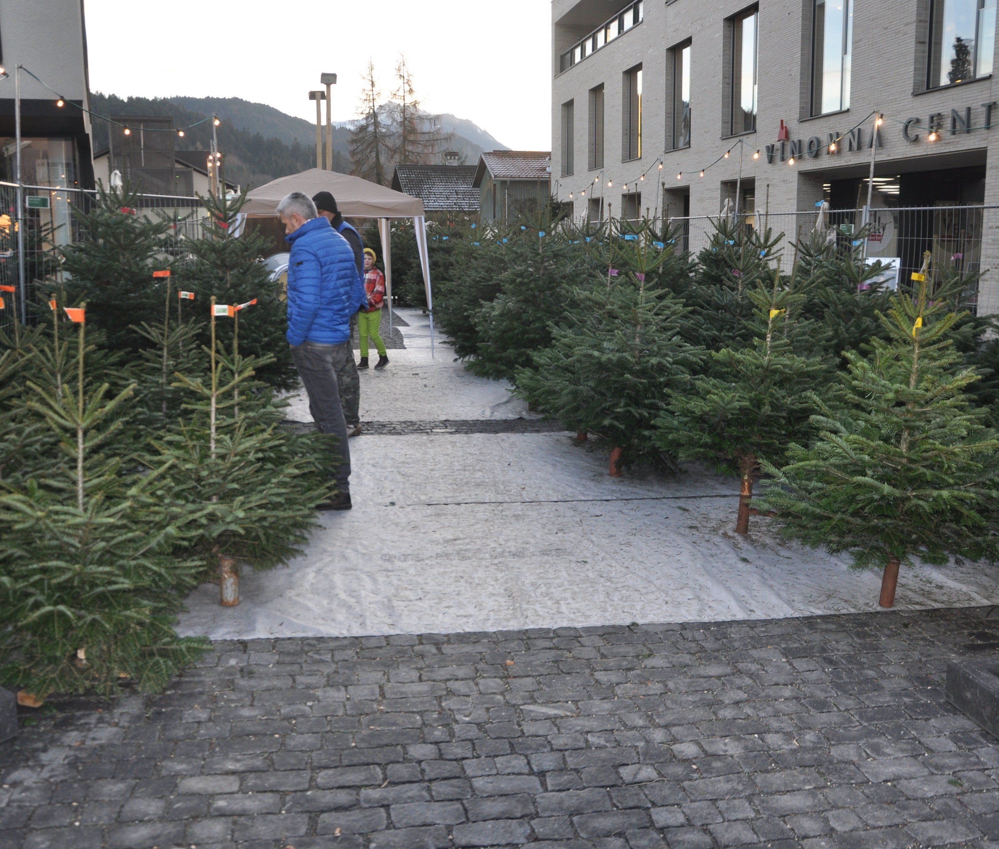 Die Vorderländer Agrargemeinschaften bieten Ländle Christbäume an. Die Vorderländer Agrargemeinschaften bieten Ländle Christbäume an.