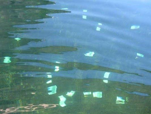 In der Neuen Donau wurde eine große Menge von Geldscheinen gefunden