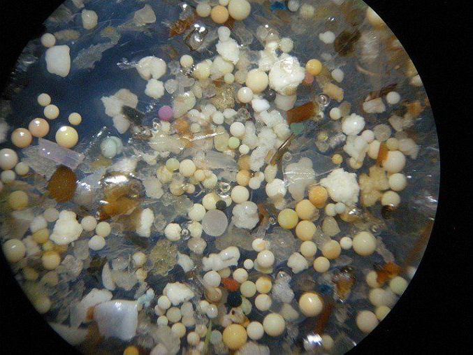 Probe aus dem Rhein bei Duisburg mit über 65% opaken Mikroplastikkügelchen in 15-facher Vergrösserung; der Durchmesser der Kügelchen beträgt 0,4–0,9 Millimeter. Probe aus dem Rhein bei Duisburg mit über 65% opaken Mikroplastikkügelchen in 15-facher Vergrösserung; der Durchmesser der Kügelchen beträgt 0,4–0,9 Millimeter.
