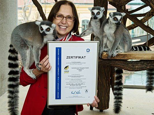 Die Freude über die Zertifizierung im Tiergarten Schönbrunn ist groß Die Freude über die Zertifizierung im Tiergarten Schönbrunn ist groß