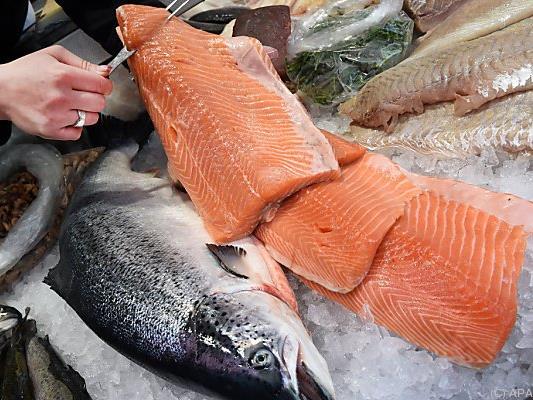 Vorsicht beim Fischkauf: Greenpeace warnt vor Umweltschäden