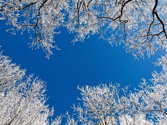 Die Temperaturen werden wieder kälter. Die Temperaturen werden wieder kälter.