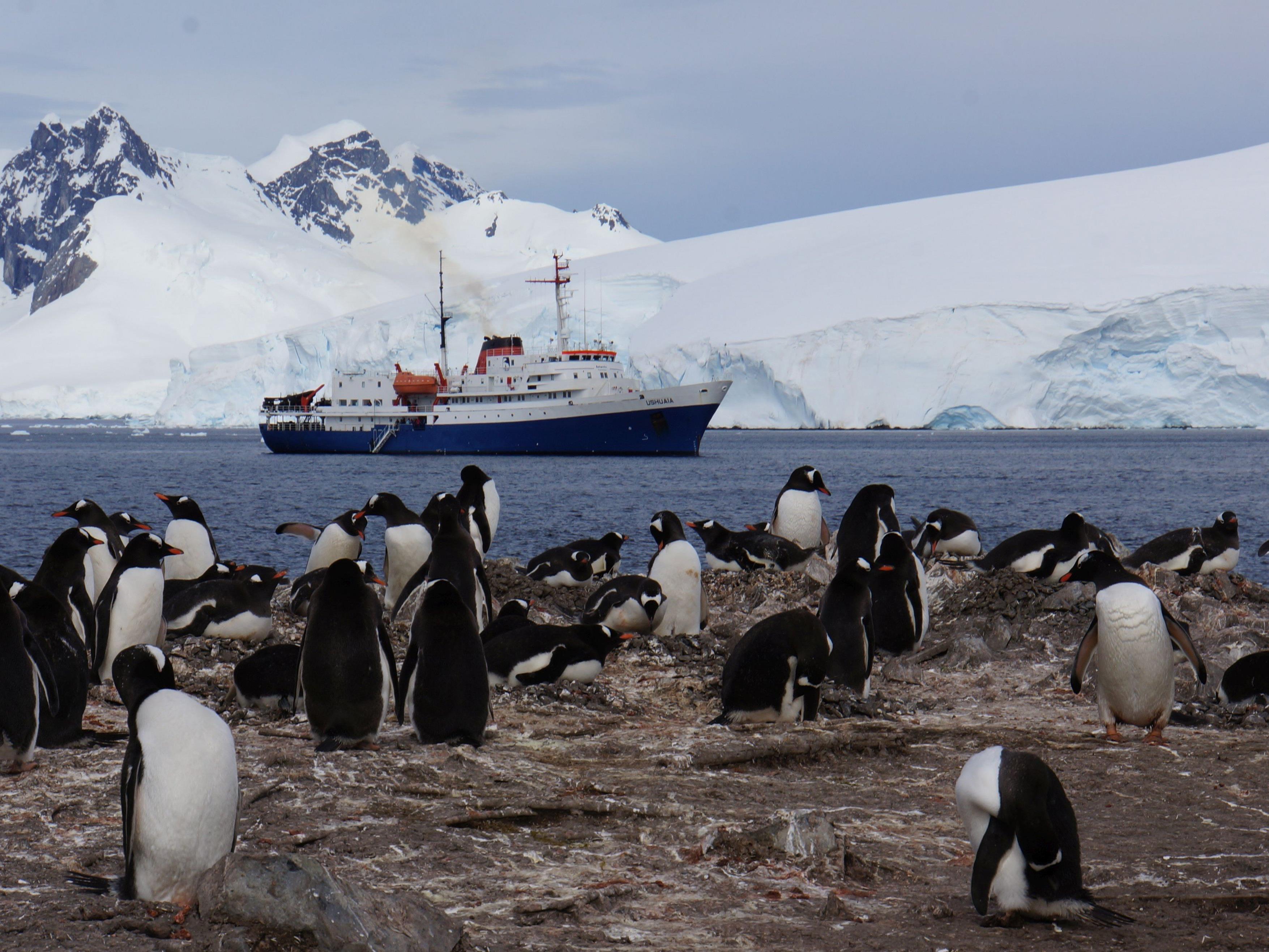 Familie Ruff zeigt Bilder einer unvergesslichen Reise in die Antarktis.