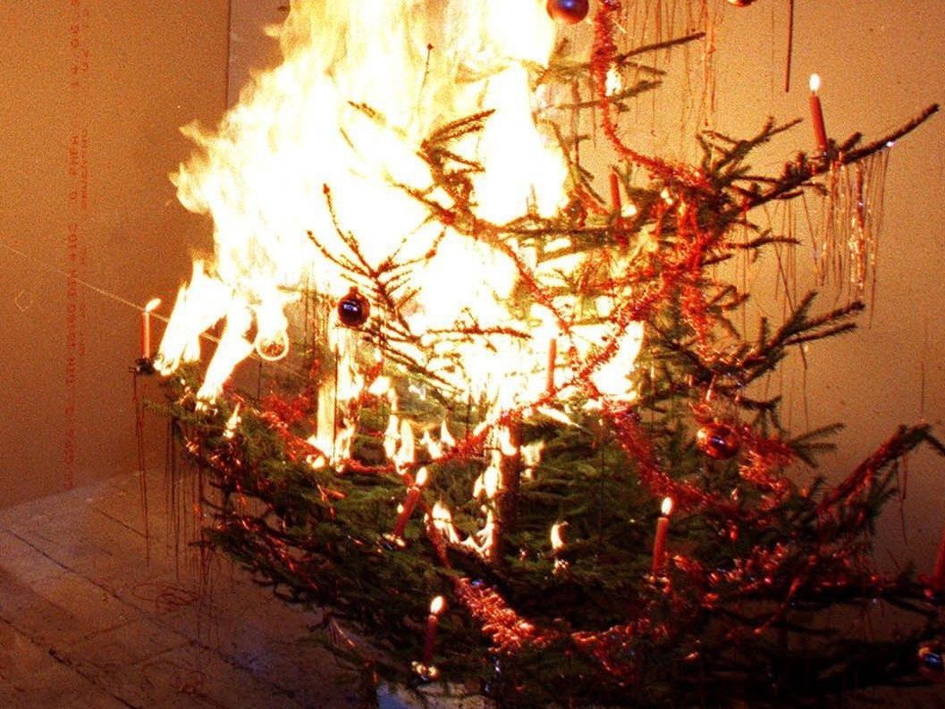 Ein Christbaum geriet in der Silvesternacht in einer Wohnung in Favoriten in Brand.
