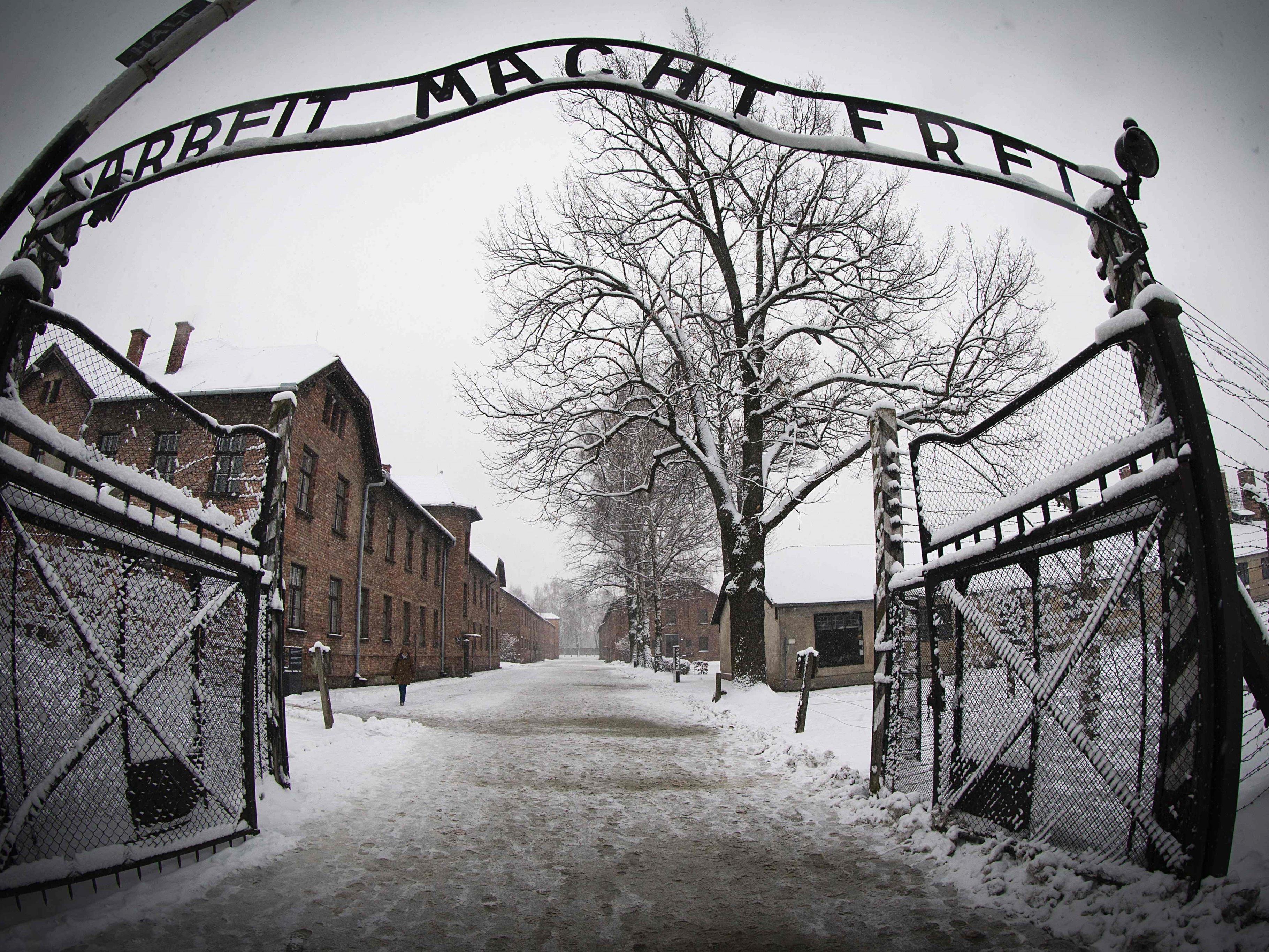 Holocaust-Gedenktag am 27. Jänner 2016.