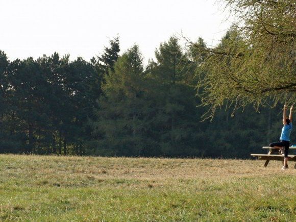 Die BI kann einen Teilerfolg für die Steinhofgründe feiern. Die BI kann einen Teilerfolg für die Steinhofgründe feiern.