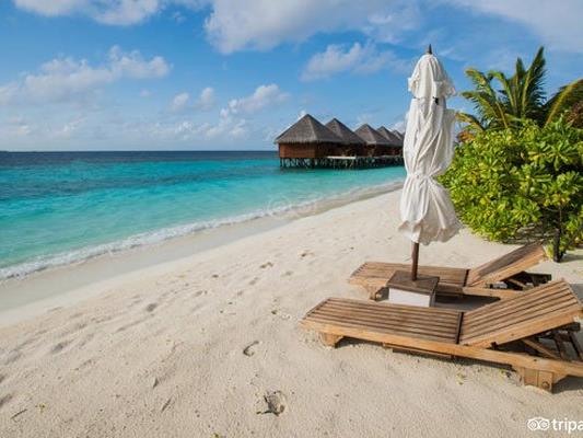 Das Mirihi Island Resort auf den Malediven wurde von TripAdvisor zu einem der zehn besten Hotels 2016 gekürt.