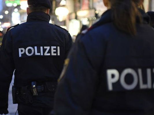 Die Polizisten konnten die Raufbolde schließlich festnehmen.