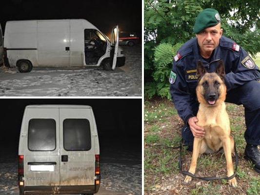 Polizeihund "ANUK vom Wolfsgraben" spürte den dritten Verdächtigen auf.