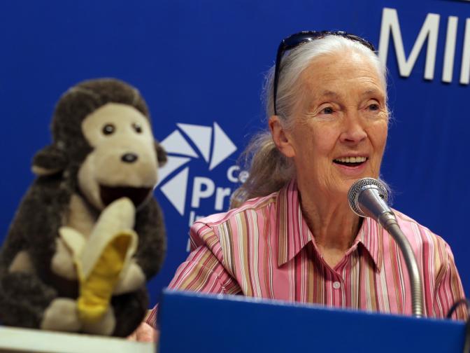 Die Sängerknaben engagieren sich für Jane Goodall.
