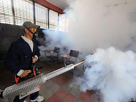 Kampf gegen das Zika-Virus