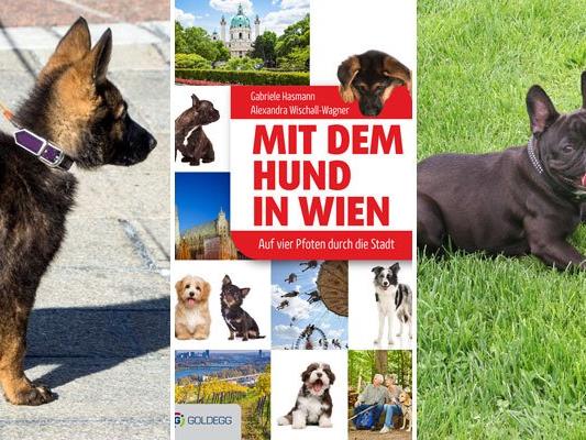 Das Buch ist ein Must-Have für alle Hundefreunde, die die Stadt gemeinsam mit ihrem Vierbeiner erkunden möchten.