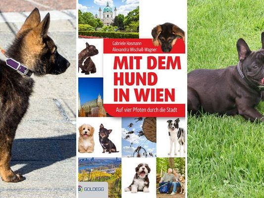 Das Buch ist ein Must-Have für alle Hundefreunde, die die Stadt gemeinsam mit ihrem Vierbeiner erkunden möchten. Das Buch ist ein Must-Have für alle Hundefreunde, die die Stadt gemeinsam mit ihrem Vierbeiner erkunden möchten.