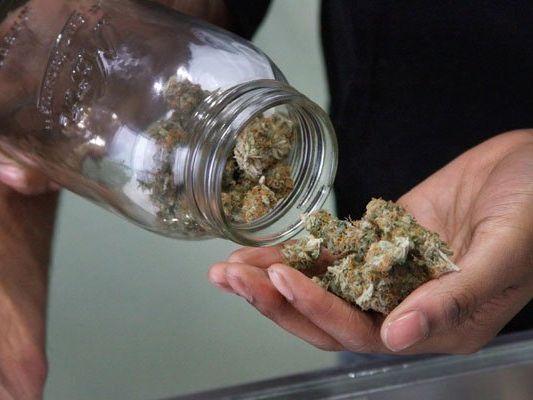 Der Wiener soll auch seine Tochter mit Cannabis versorgt haben. Der Wiener soll auch seine Tochter mit Cannabis versorgt haben.
