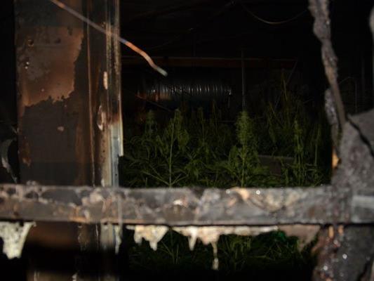 Im März 2015 brannte die Lagerhalle, in der Hanf angepflanzt wurde, komplett aus.