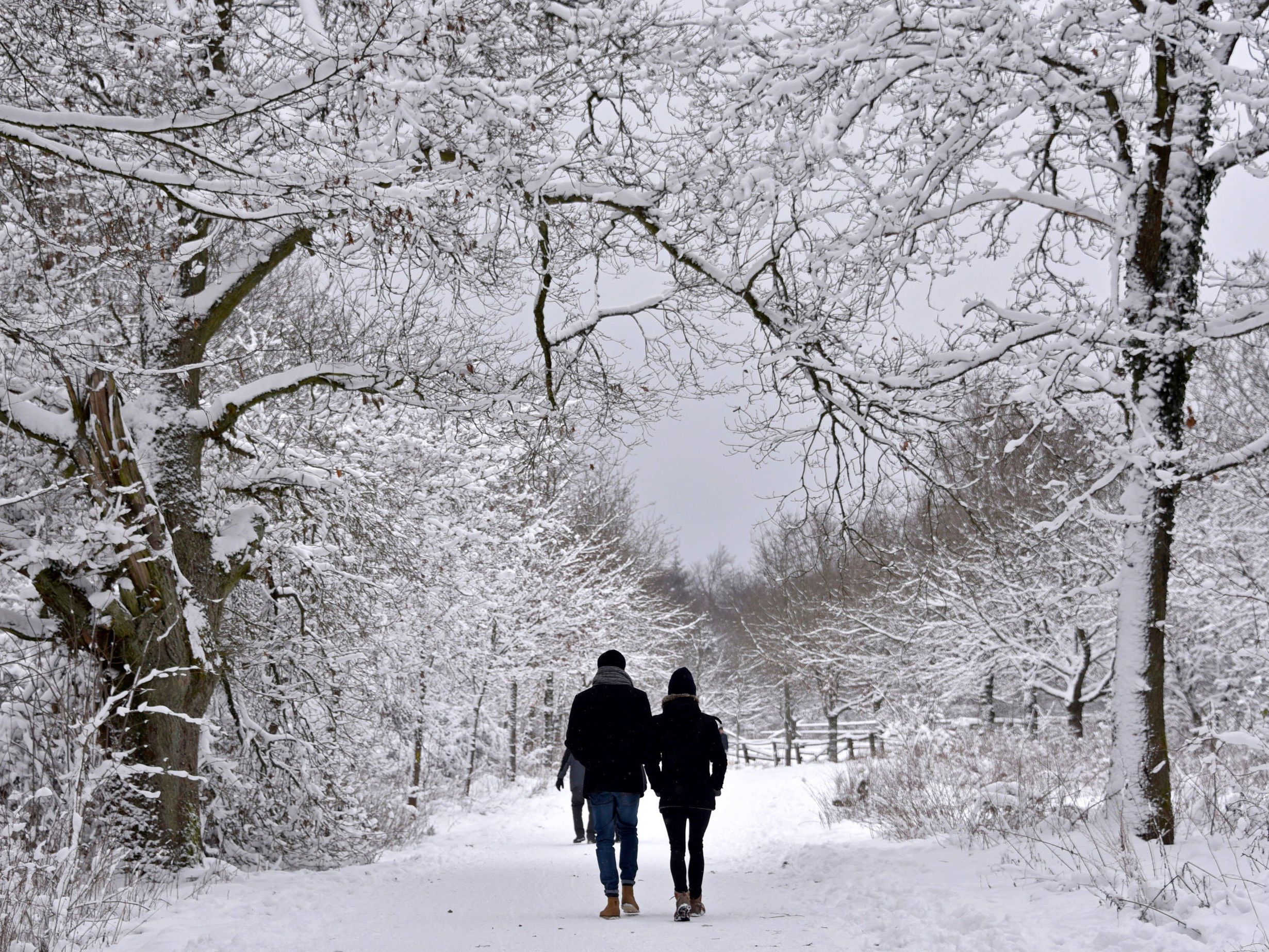 Der Winter kehrt für sehr kurze Zeit zurück. Der Winter kehrt für sehr kurze Zeit zurück.