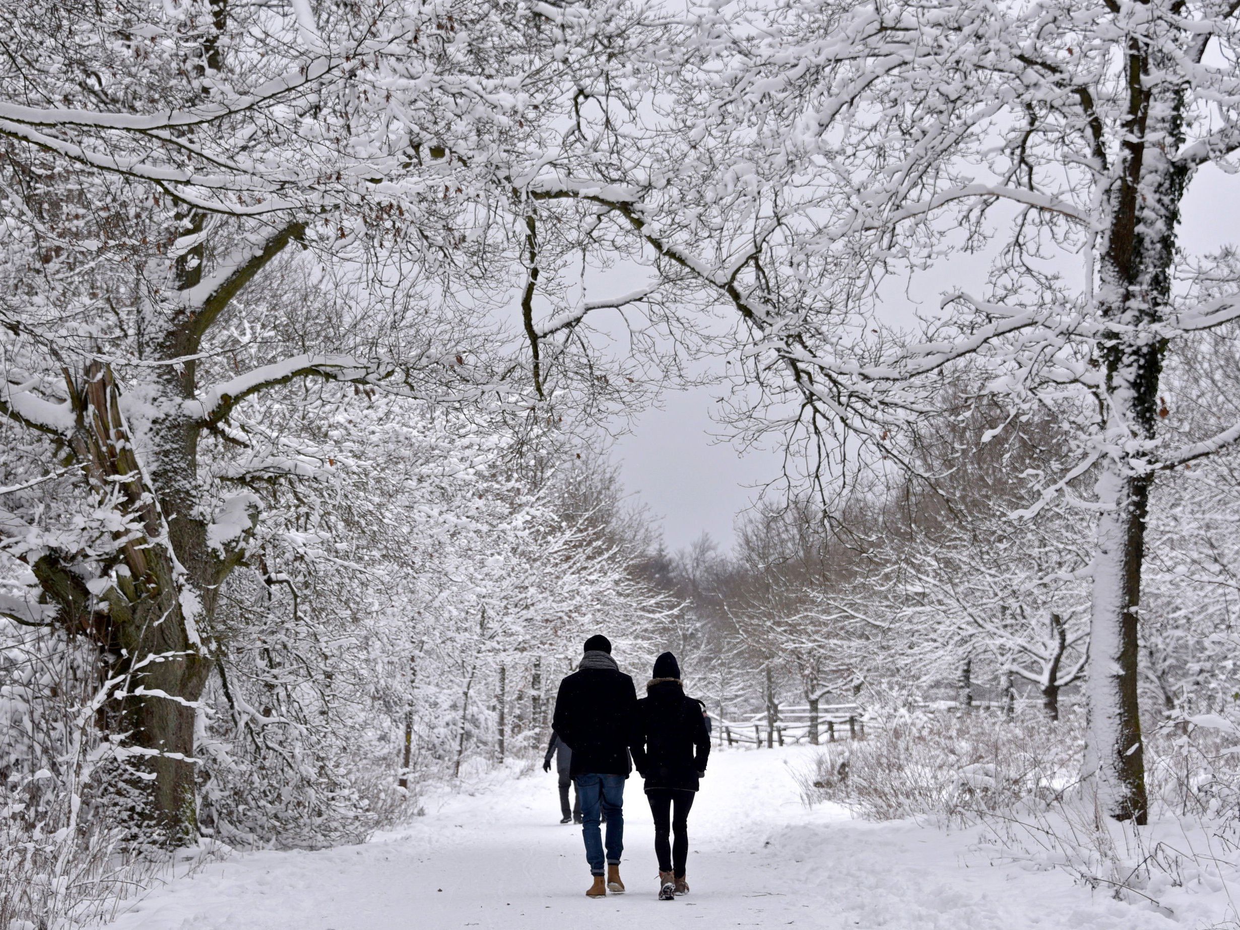 Der Winter kehrt für sehr kurze Zeit zurück.