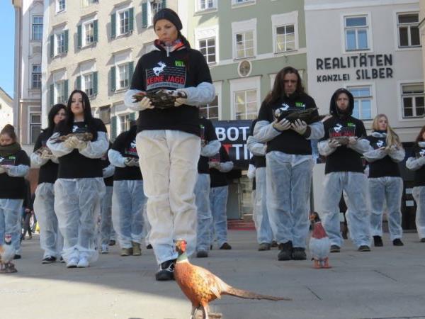 Tierschützer protestieren gegen Gatterjagd in Salzburg.