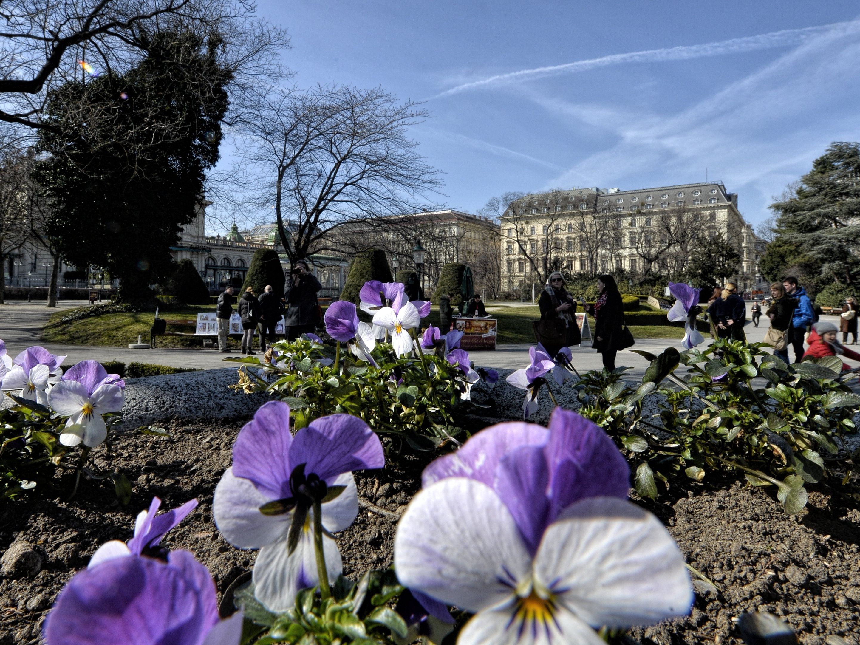 Föhn bringt milde Temperaturen Föhn bringt milde Temperaturen