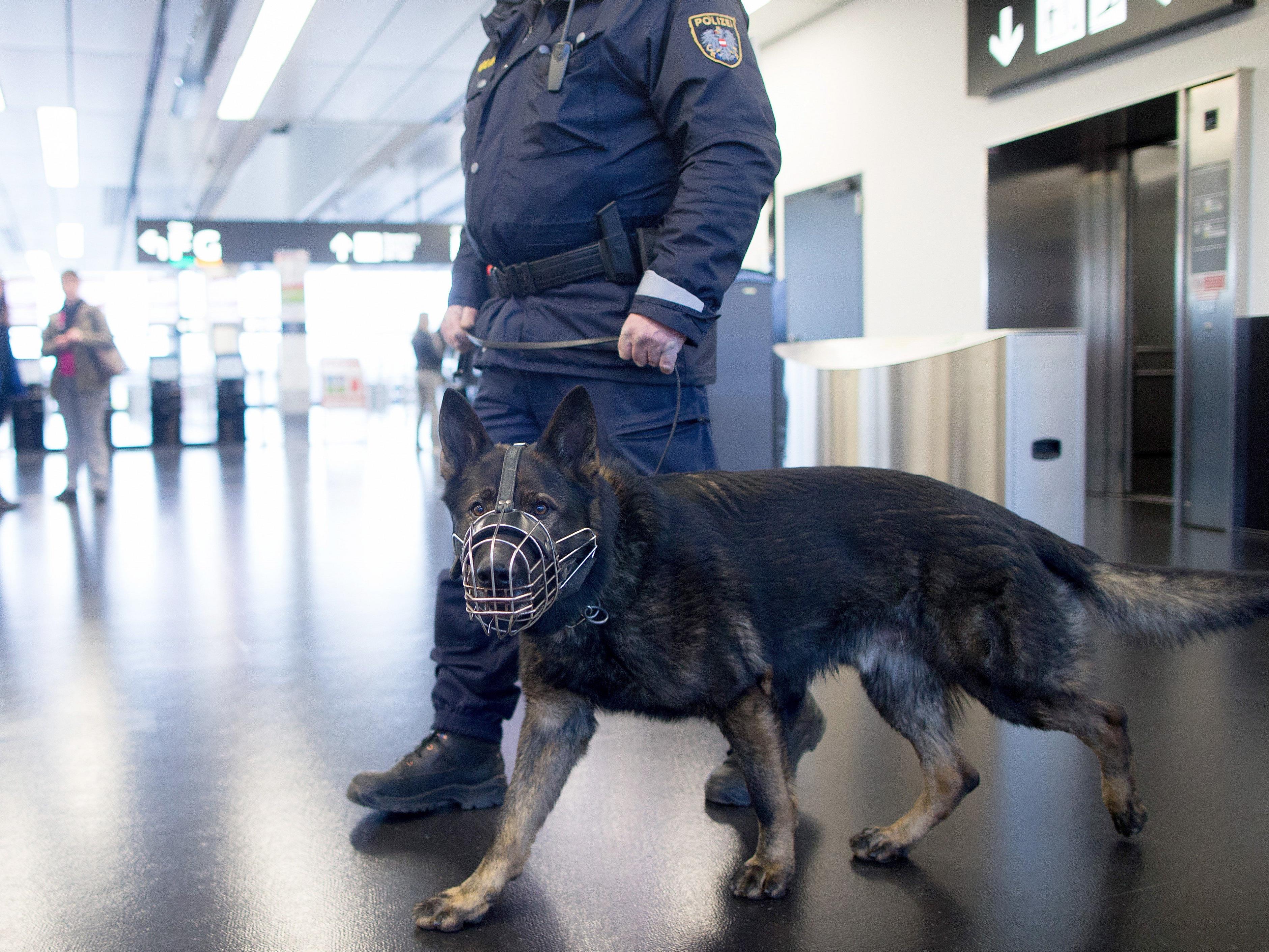 Brüssel-Terror - Mehr Polizei am Flughafen Schwechat