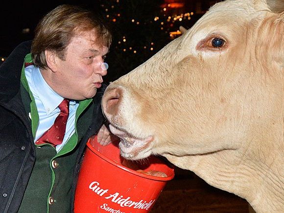 Vorwürfe wurden gegen Aiderbichl-Chef Michael Aufhauser erhoben Vorwürfe wurden gegen Aiderbichl-Chef Michael Aufhauser erhoben