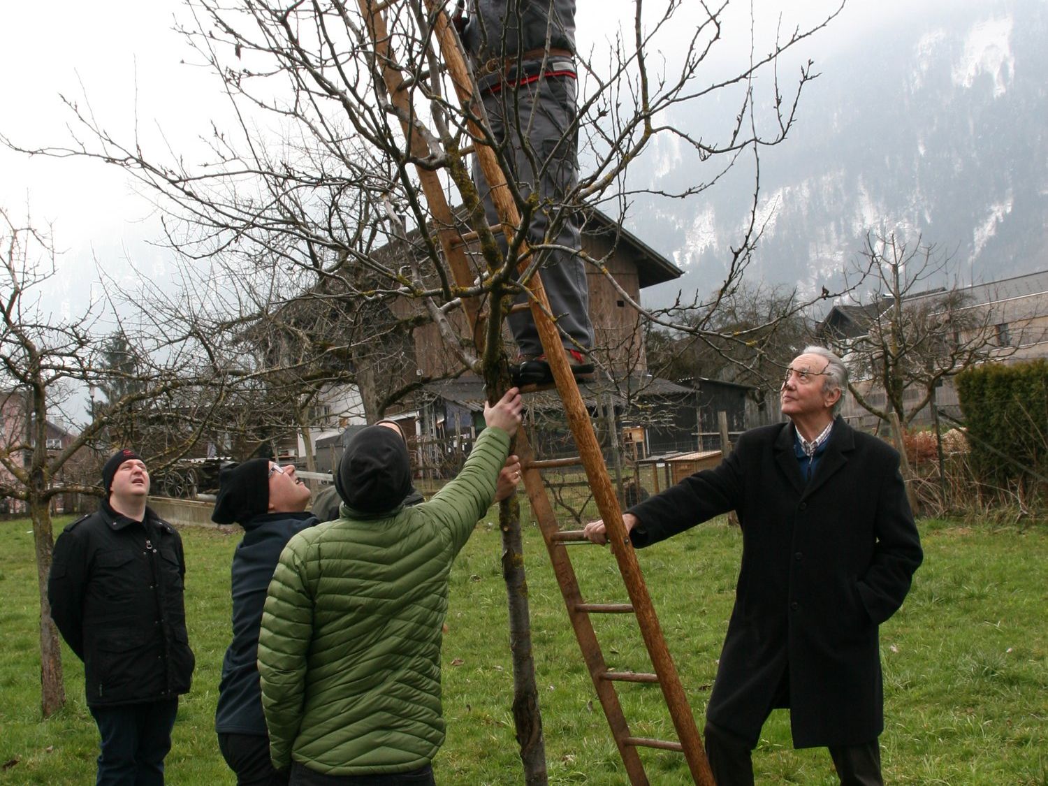 Beim Baumschnittkurs des OGV Nenzing-Beschling gab es praktische Tipps. Beim Baumschnittkurs des OGV Nenzing-Beschling gab es praktische Tipps.