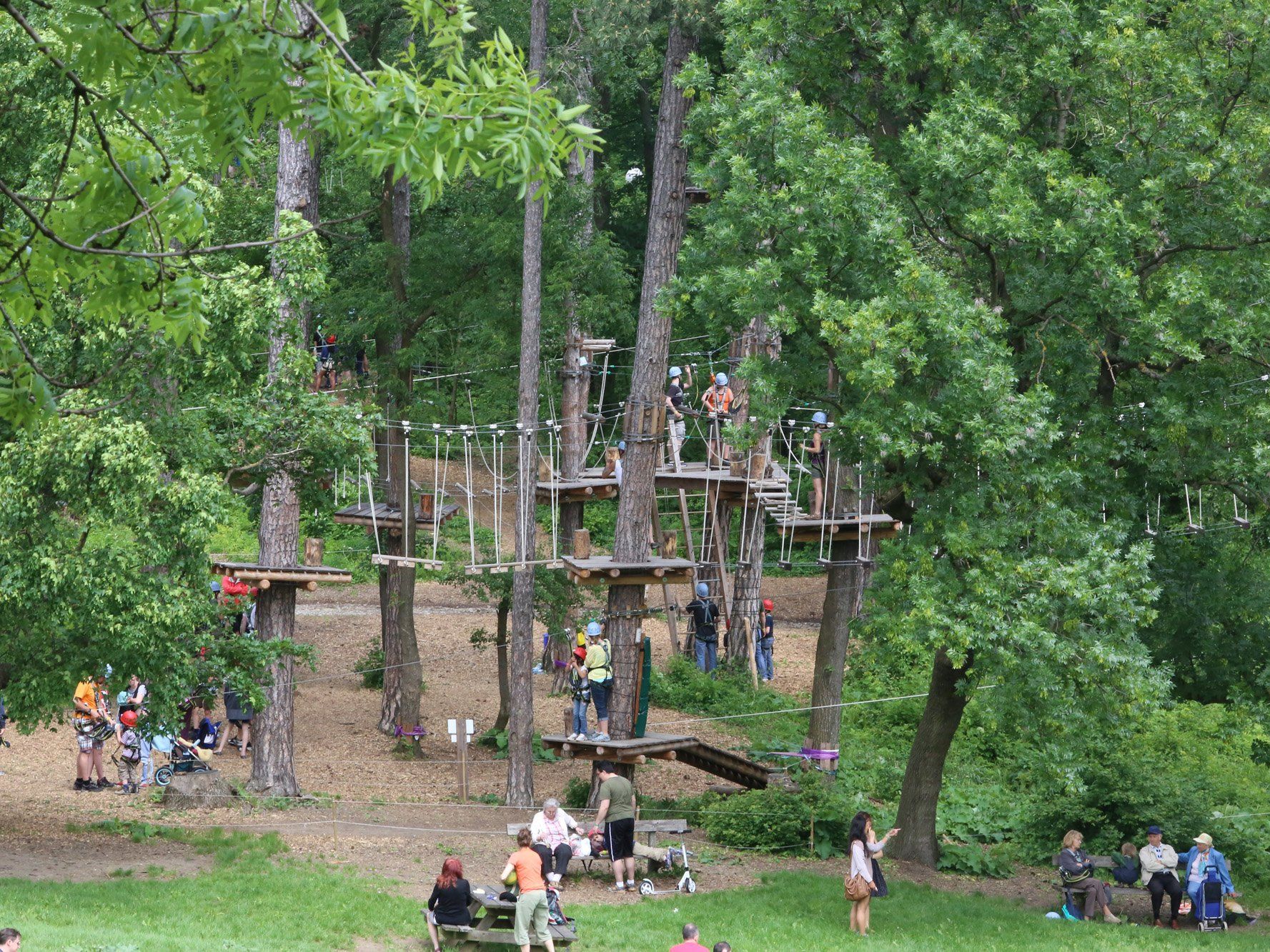 Saisoneröffnung im Waldseilpark Kahlenberg.