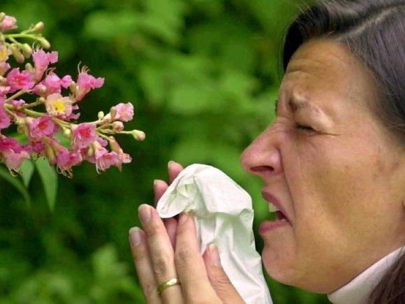 Wenn der Frühling vor allem eines verspricht: Niesanfälle und tränende Augen. Wenn der Frühling vor allem eines verspricht: Niesanfälle und tränende Augen.