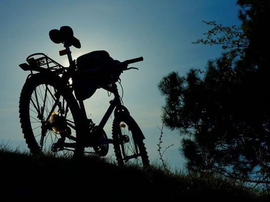 Neuer Hotspot für Mountainbiker im Wienerwald.