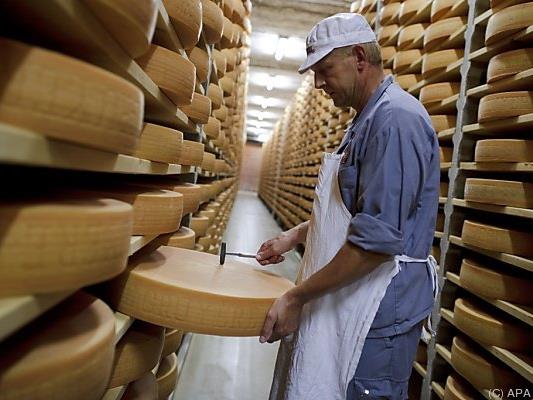 Der prähistorischen Käseherstellung auf der Spur