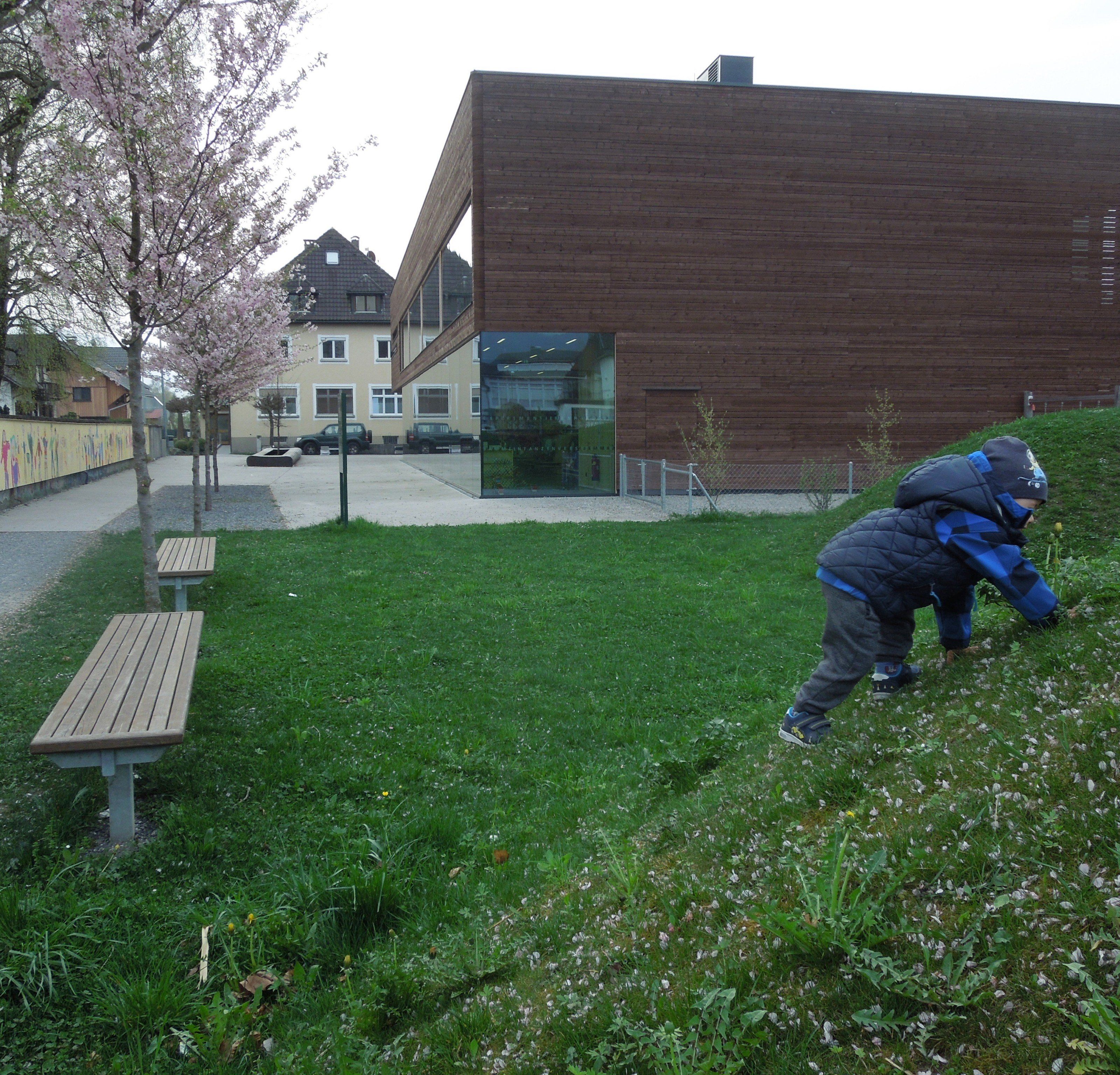 Beim Spielplatz Rheindorf ist ein Mülltrennsystem geplant. Zusätzliche Kübel sieht man in der Gemeinde eher skeptisch. Beim Spielplatz Rheindorf ist ein Mülltrennsystem geplant. Zusätzliche Kübel sieht man in der Gemeinde eher skeptisch.