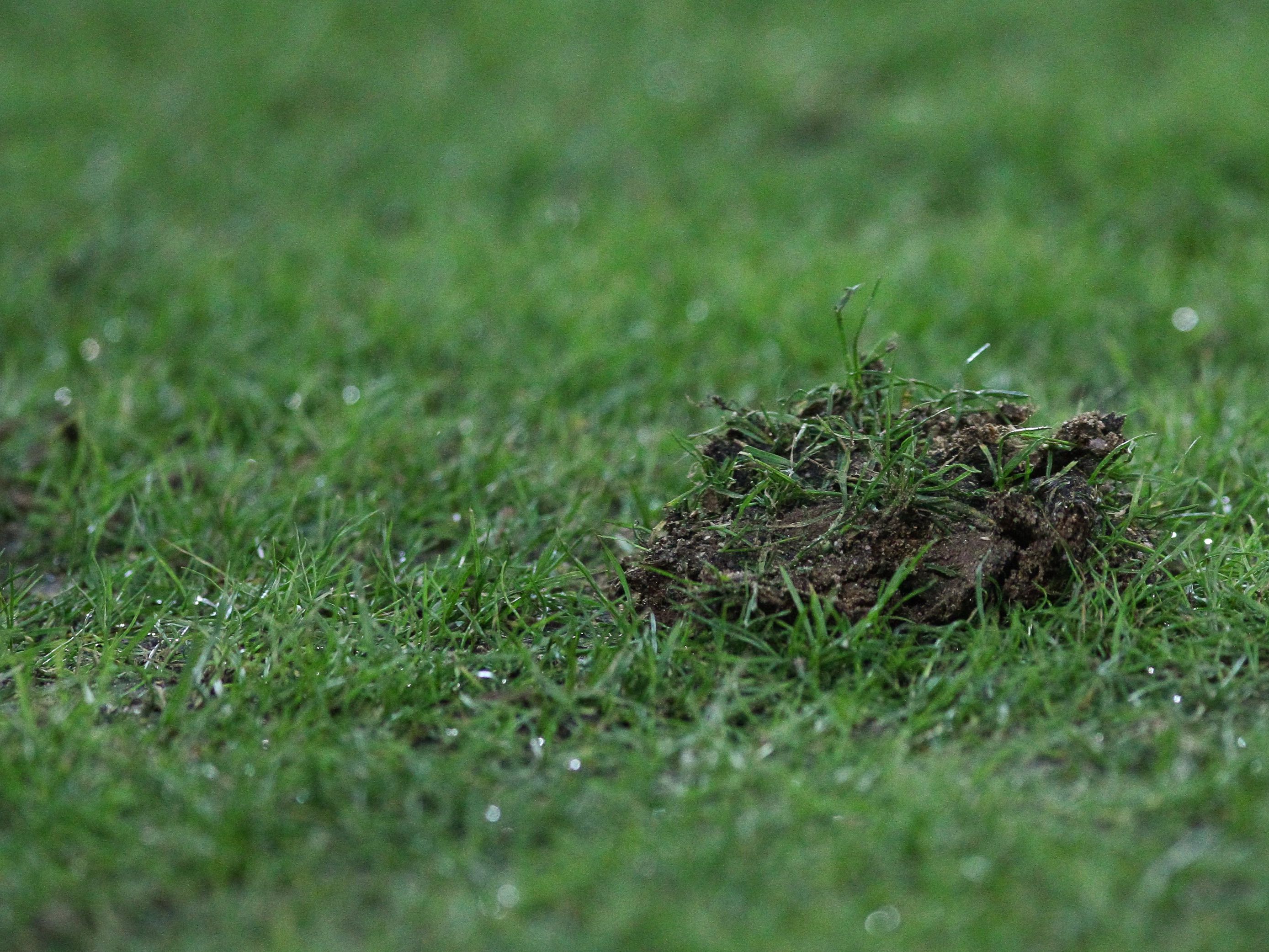 LIVE-Ticker zum Spiel Wacker Innsbruck gegen Austria Klagenfurt ab 18.30 Uhr. LIVE-Ticker zum Spiel Wacker Innsbruck gegen Austria Klagenfurt ab 18.30 Uhr.