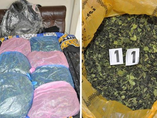 Hunderte Kilogramm der Droge Khat wurden sichergestellt