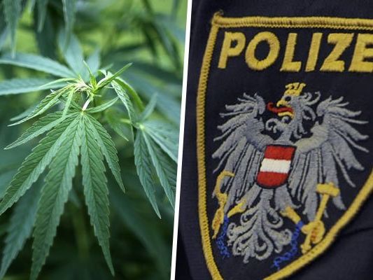 Novelle zum Suchtmittelgesetz im Justizausschuss Novelle zum Suchtmittelgesetz im Justizausschuss