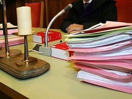 Die Wiener Polizei wird wegen von der Volksanwaltschaft überprüft Die Wiener Polizei wird wegen von der Volksanwaltschaft überprüft