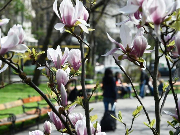 Freundliches Frühlingswetter auch nächste Woche. Freundliches Frühlingswetter auch nächste Woche.