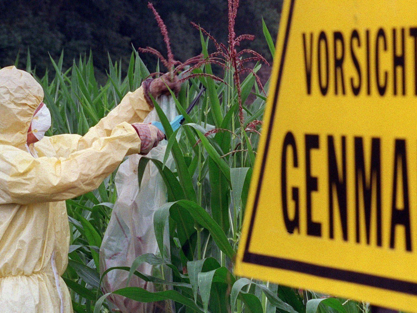 Die Kriterien für die "Gentechnikfrei"-Kennzeichnung sollen harmonisiert werden. Die Kriterien für die "Gentechnikfrei"-Kennzeichnung sollen harmonisiert werden.