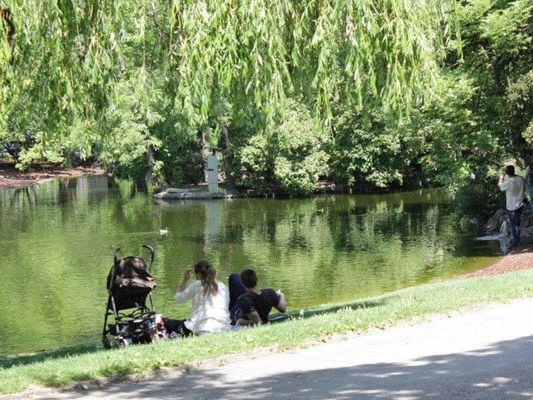 Wiens ist mit seinen vielen Parkanlagen eine sehr grüne Stadt. Wiens ist mit seinen vielen Parkanlagen eine sehr grüne Stadt.