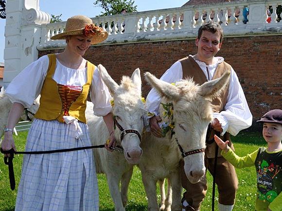 Die vierbeinigen Bewohner des Gutshofs laden zur tierischen Parade auf Schloss Hof