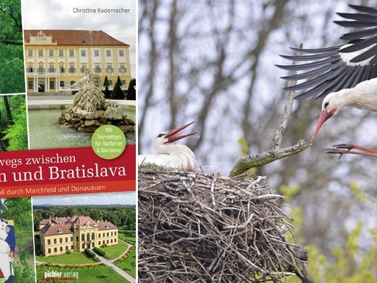 Die Natur-Schönheit zwischen Wien und Bratislava entdecken.