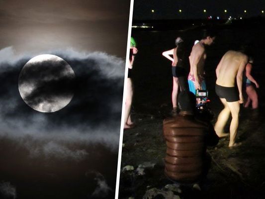 Beim Vollmondschwimmen im April wird auch das Ufer der Neuen Donau gereinigt. Beim Vollmondschwimmen im April wird auch das Ufer der Neuen Donau gereinigt.